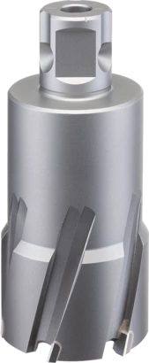 BOSCH	بنطه متقاب مغنطيسي (تنجستين كاربيد) 24 * 35 مم	2608577488